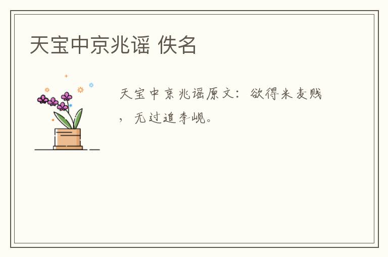 天宝中京兆谣 佚名