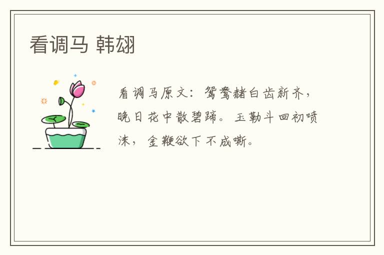 看调马 韩翃