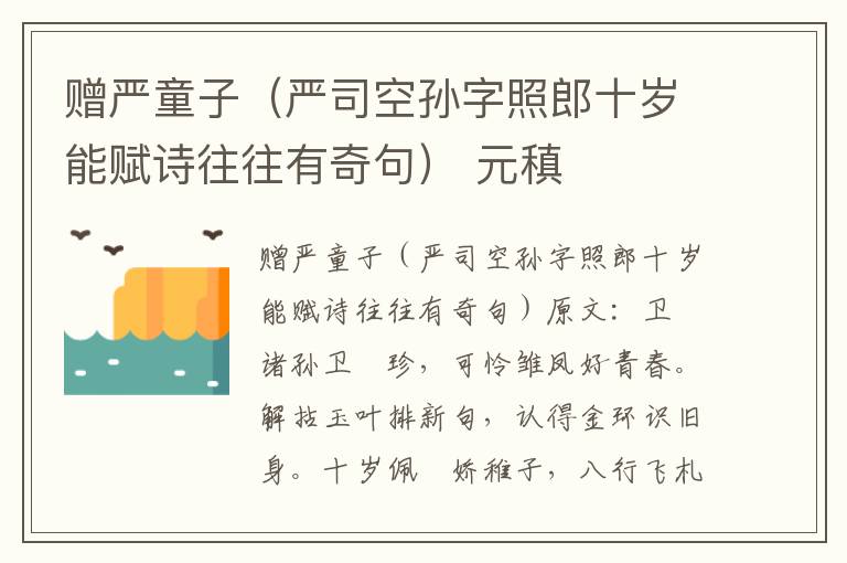 赠严童子（严司空孙字照郎十岁能赋诗往往有奇句） 元稹