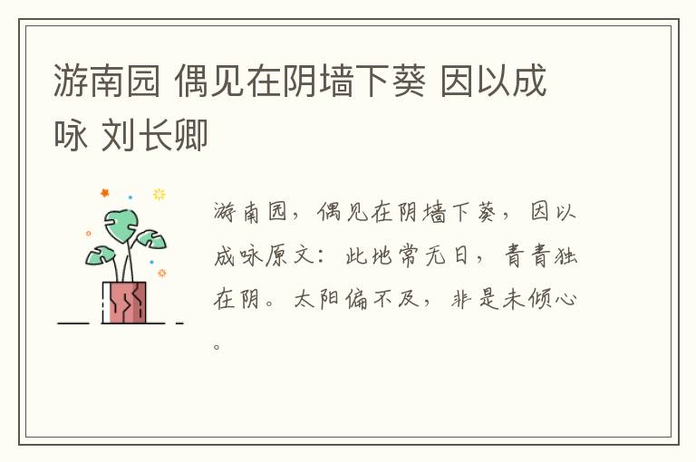 游南园 偶见在阴墙下葵 因以成咏 刘长卿