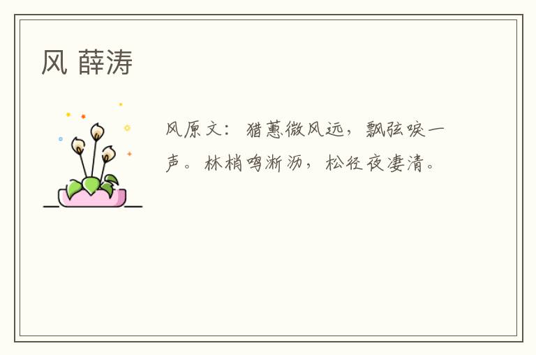 风 薛涛