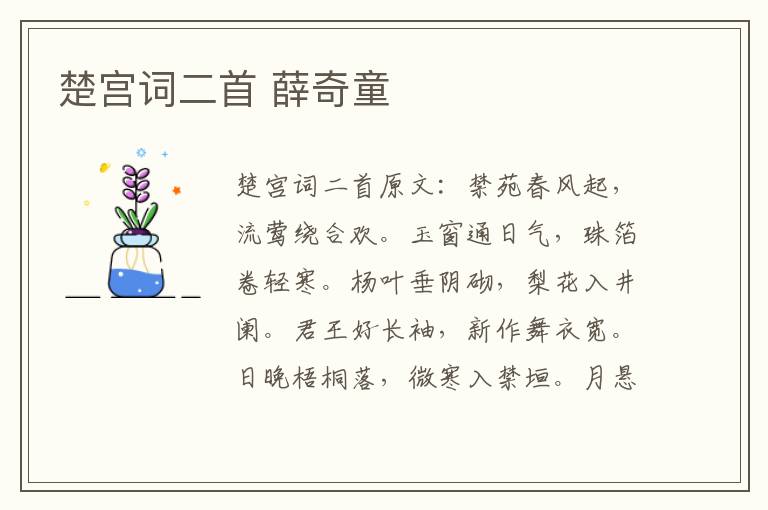 楚宫词二首 薛奇童