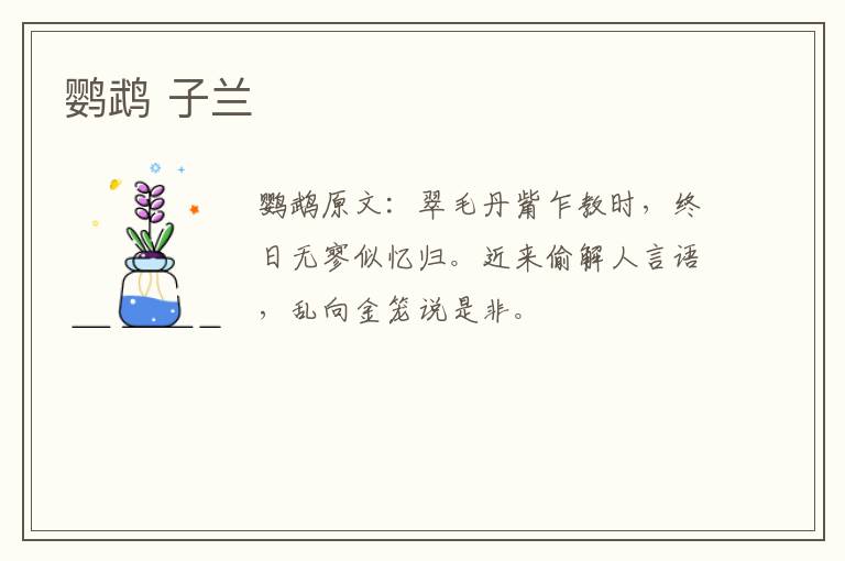 鹦鹉 子兰