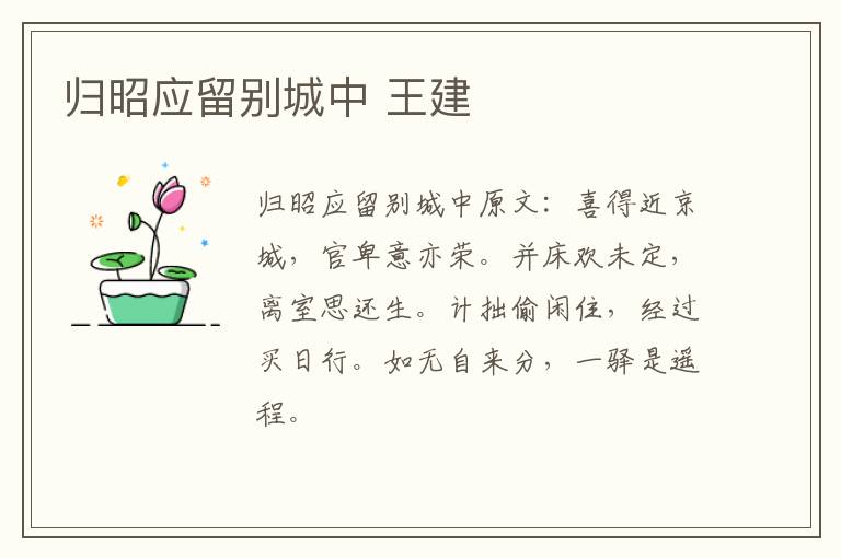 归昭应留别城中 王建