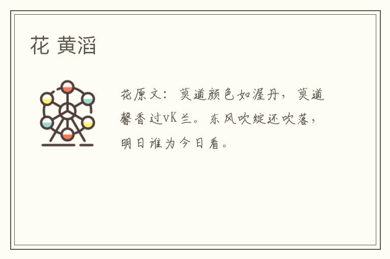 花 黄滔