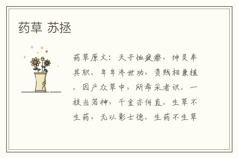 药草 苏拯