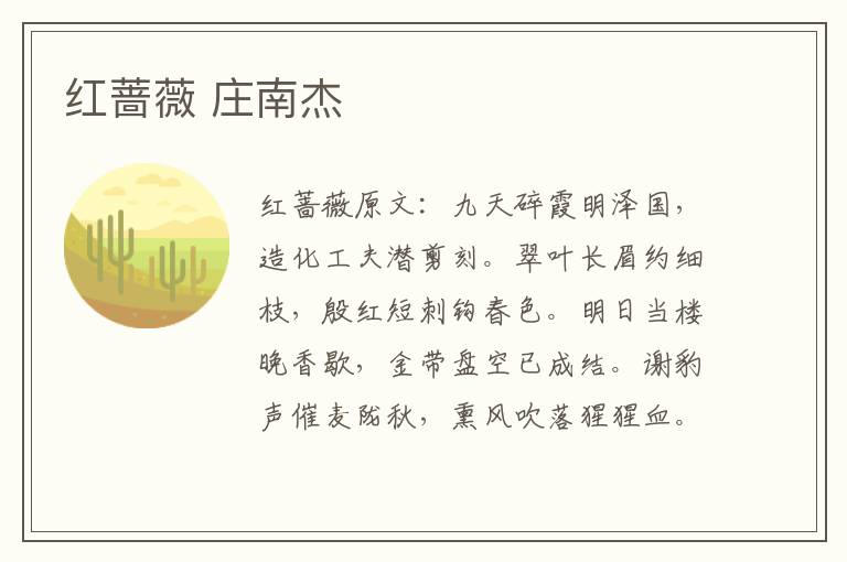 红蔷薇 庄南杰
