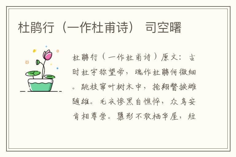 杜鹃行（一作杜甫诗） 司空曙
