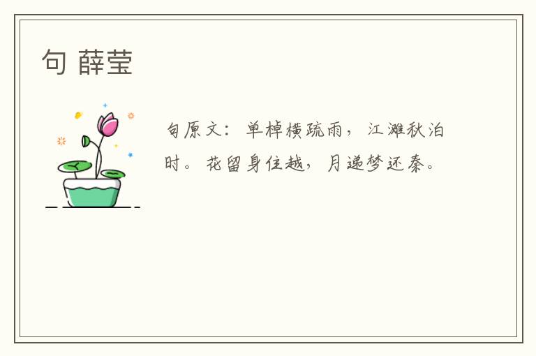 句 薛莹