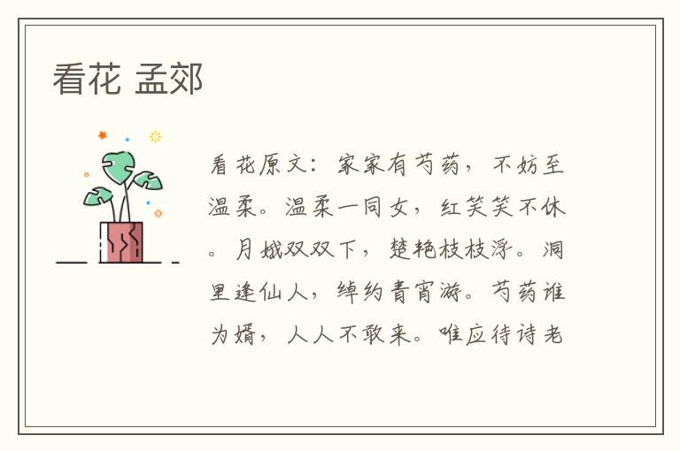 看花 孟郊