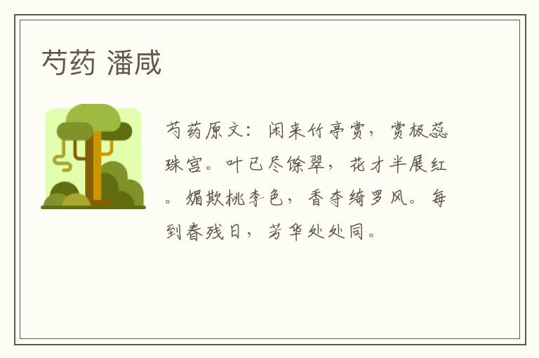芍药 潘咸