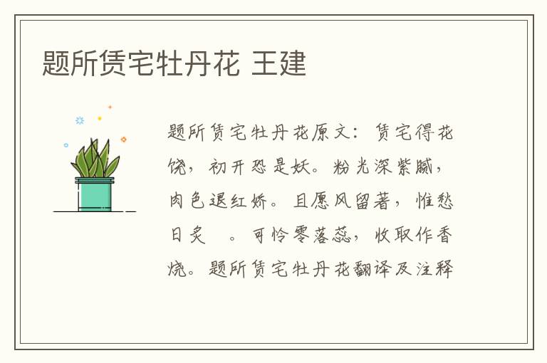 题所赁宅牡丹花 王建