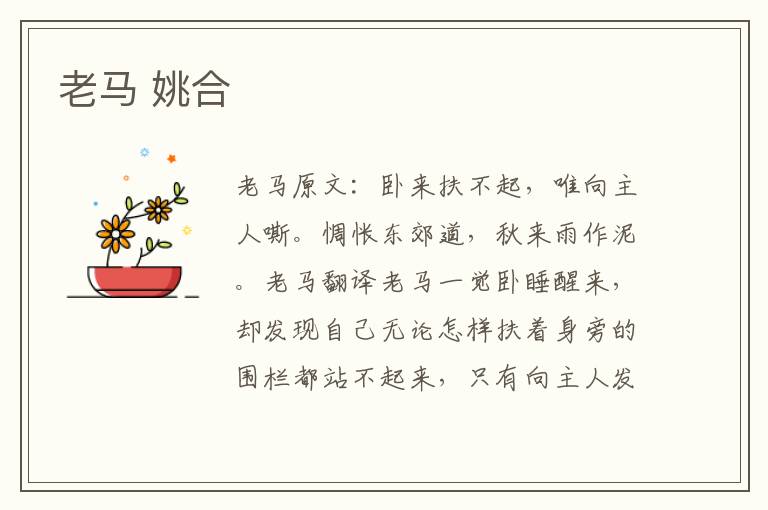老马 姚合