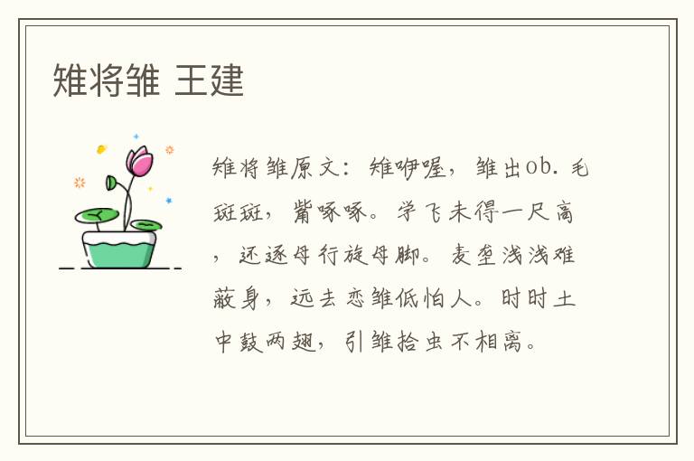 雉将雏 王建