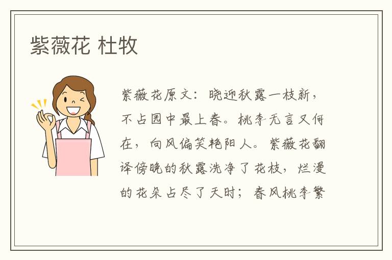 紫薇花 杜牧