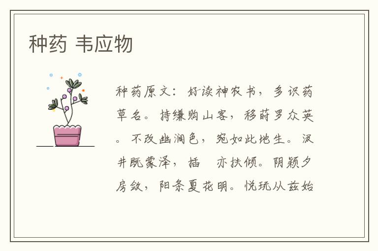 种药 韦应物
