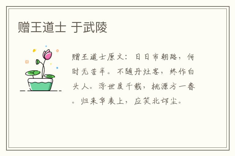 赠王道士 于武陵