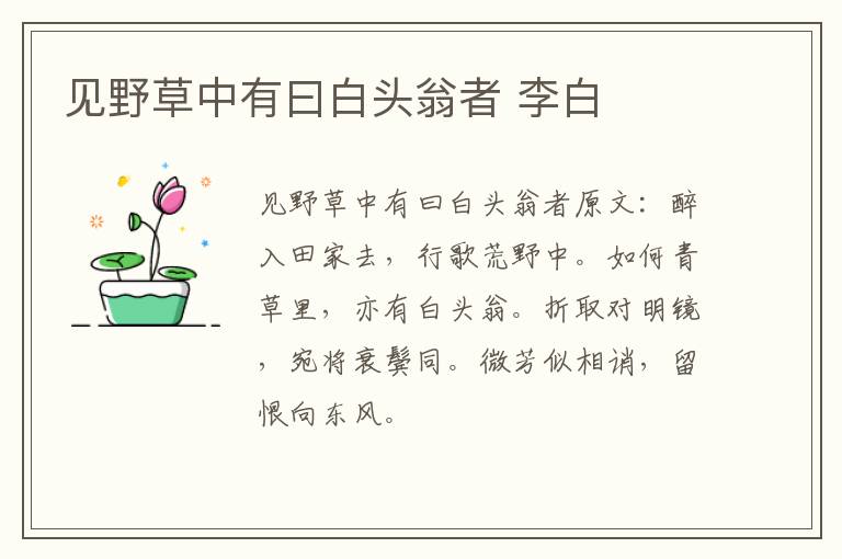 见野草中有曰白头翁者 李白