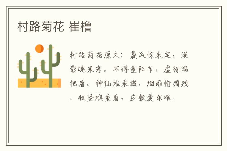 村路菊花 崔橹