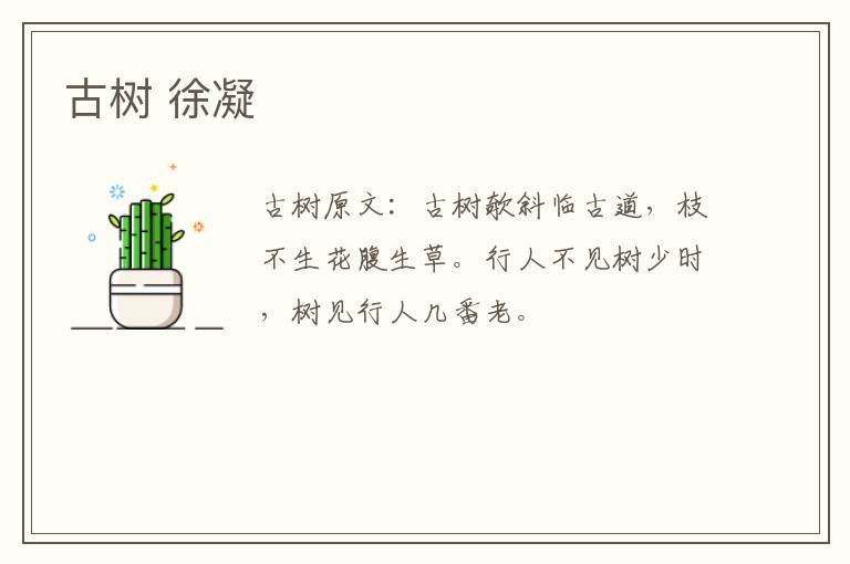 古树 徐凝