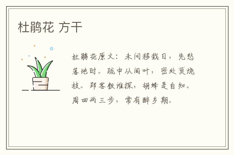 杜鹃花 方干