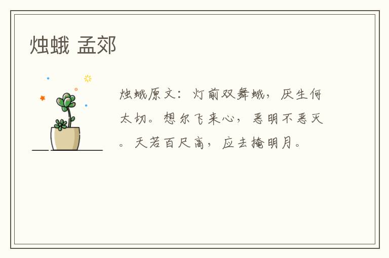 烛蛾 孟郊