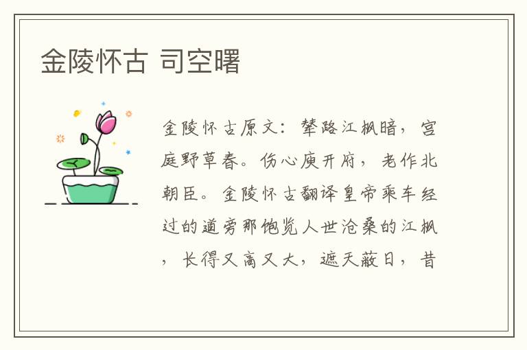 金陵怀古 司空曙