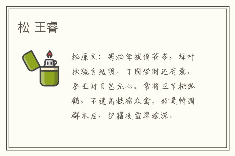 松 王睿