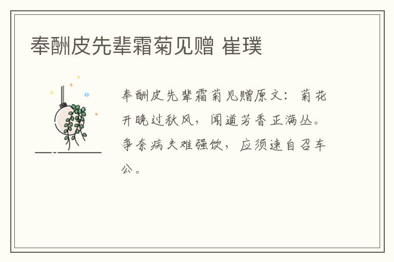 奉酬皮先辈霜菊见赠 崔璞