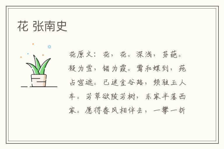 花 张南史