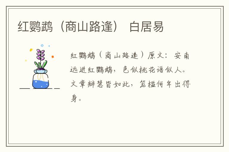 红鹦鹉（商山路逢） 白居易