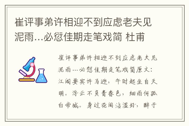 崔评事弟许相迎不到应虑老夫见泥雨…必愆佳期走笔戏简 杜甫
