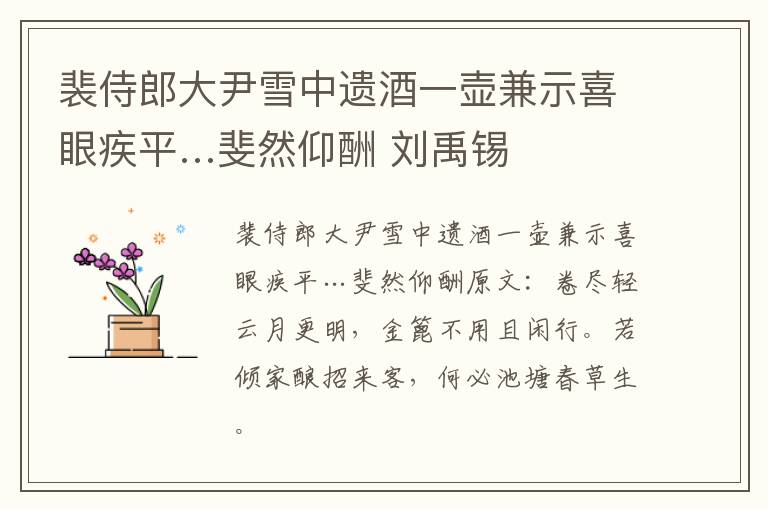 裴侍郎大尹雪中遗酒一壶兼示喜眼疾平…斐然仰酬 刘禹锡