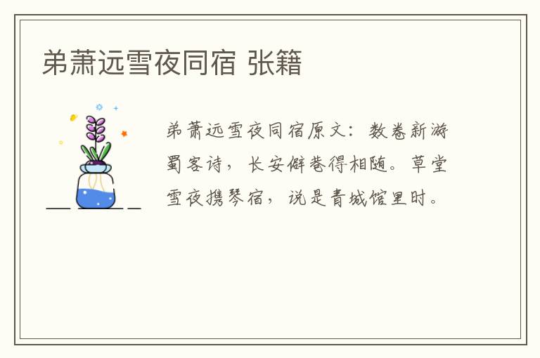 弟萧远雪夜同宿 张籍