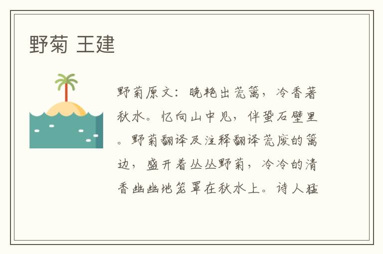 野菊 王建
