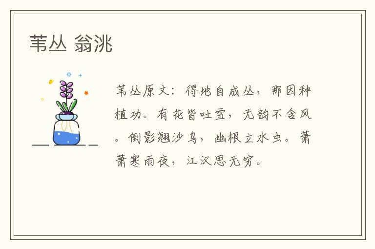 苇丛 翁洮