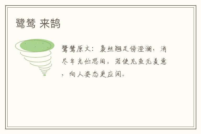 鹭鸶 来鹄