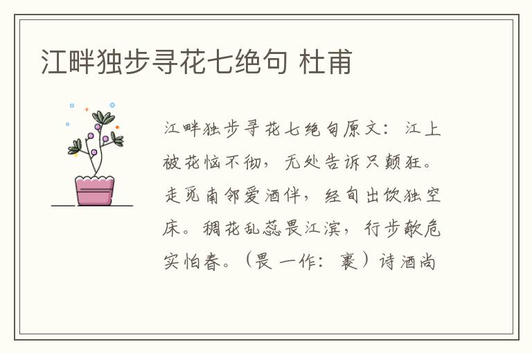 江畔独步寻花七绝句 杜甫