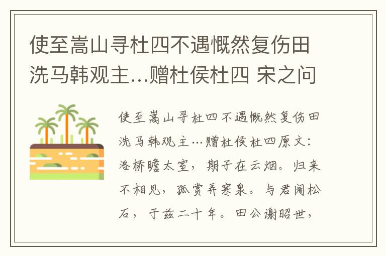 使至嵩山寻杜四不遇慨然复伤田洗马韩观主…赠杜侯杜四 宋之问
