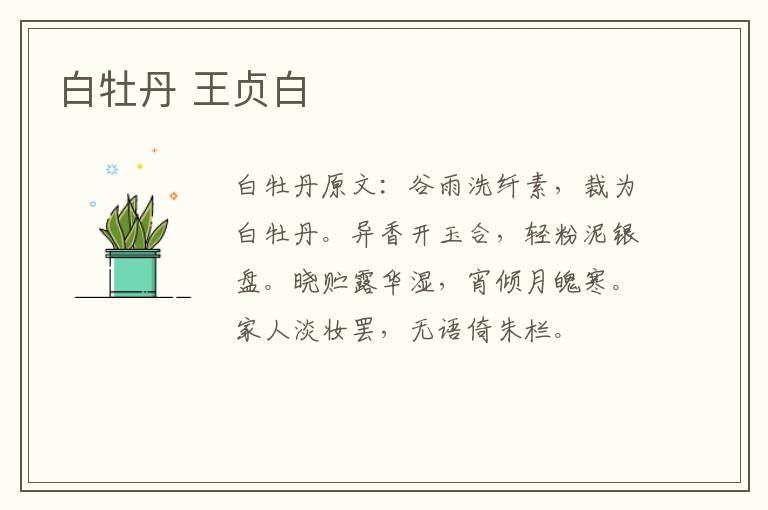 白牡丹 王贞白