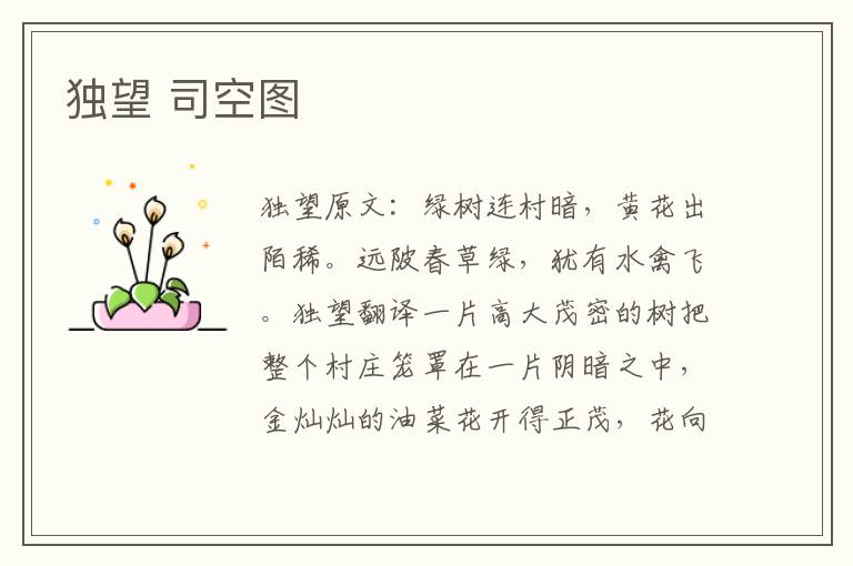 独望 司空图
