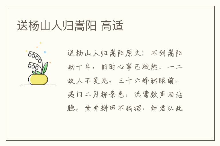 送杨山人归嵩阳 高适