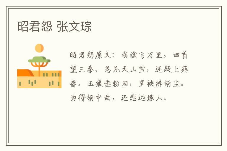 昭君怨 张文琮