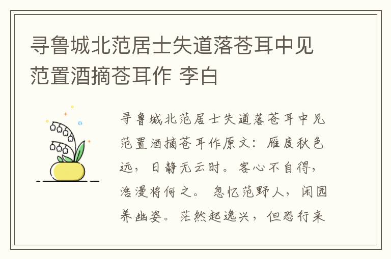 寻鲁城北范居士失道落苍耳中见范置酒摘苍耳作 李白