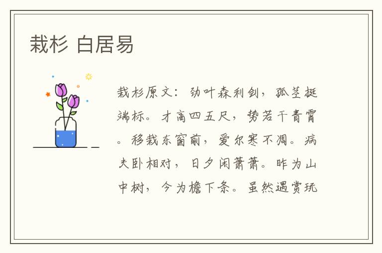 栽杉 白居易