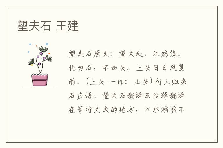 望夫石 王建