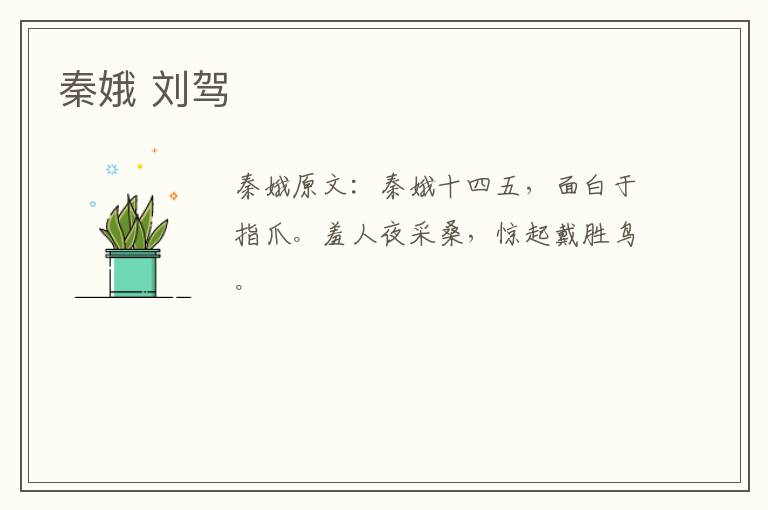 秦娥 刘驾