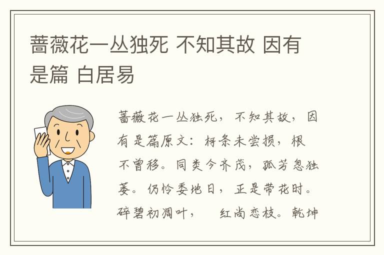 蔷薇花一丛独死 不知其故 因有是篇 白居易
