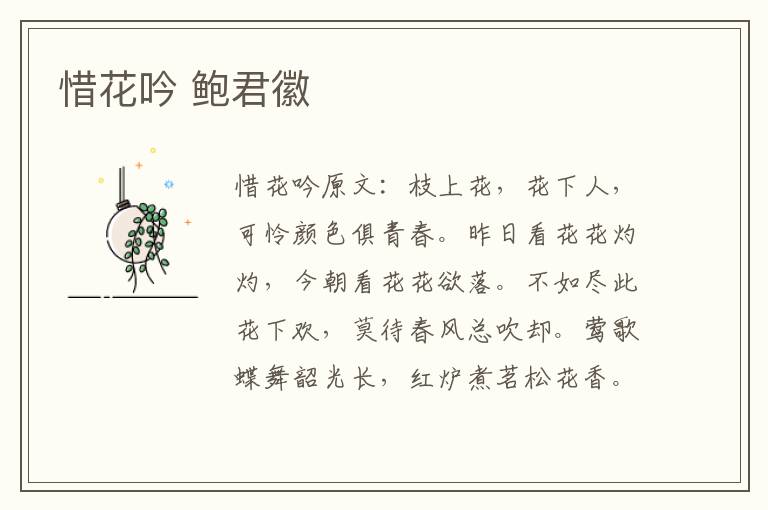 惜花吟 鲍君徽