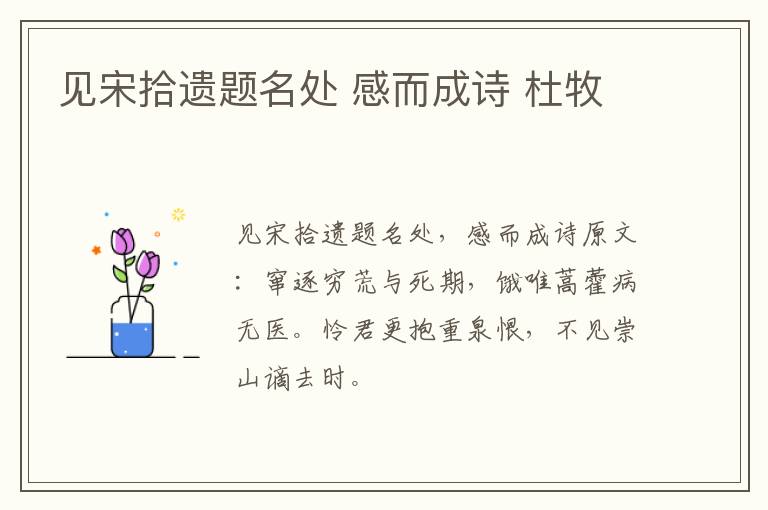 见宋拾遗题名处 感而成诗 杜牧